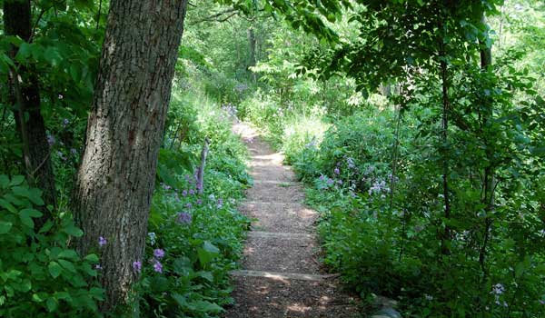 Schlitz Audubon Nature Center Trails Schlitz Audubon Nature Center Trails