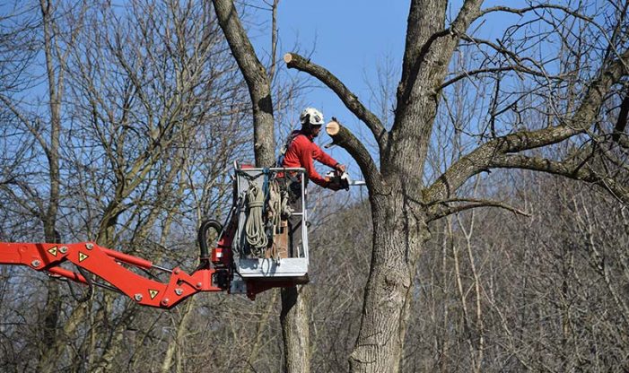 Schlitz Audubon Wisconsin Arborist Association