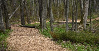 Hiking Trails at Schlitz Audubon