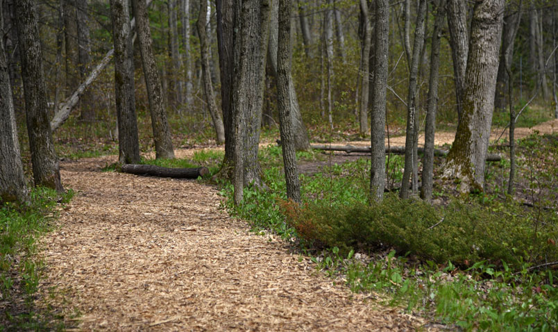 Hiking Trails at Schlitz Audubon