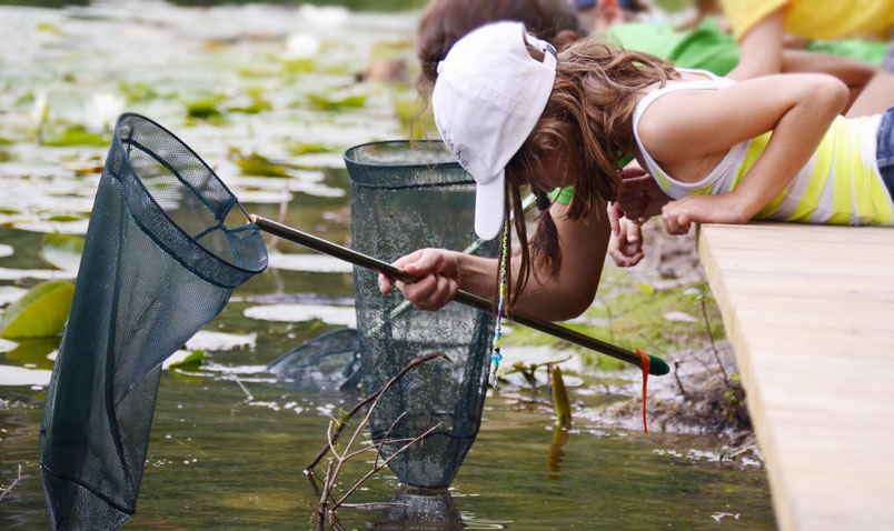 Summer Camp at Schlitz Audubon