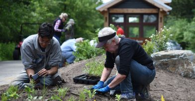 Volunteer at Schlitz Audubon