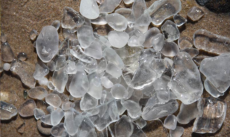 beach glass clear schlitz audubon