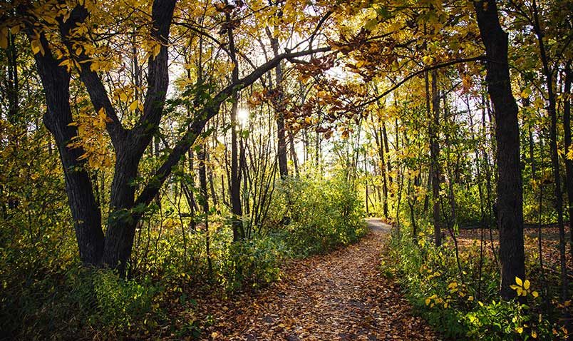 Fall Wedding Schlitz Audubon Trail