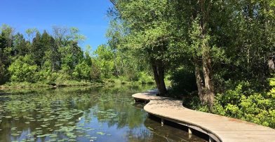 Plan Your Visit Schlitz Audubon
