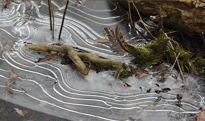 How to create remarkable frozen bubbles in winter