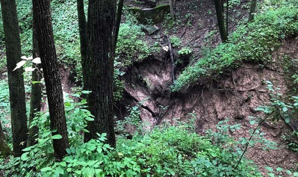 Storm Ravine Stormwater Wetland & Ravine Restoration Project