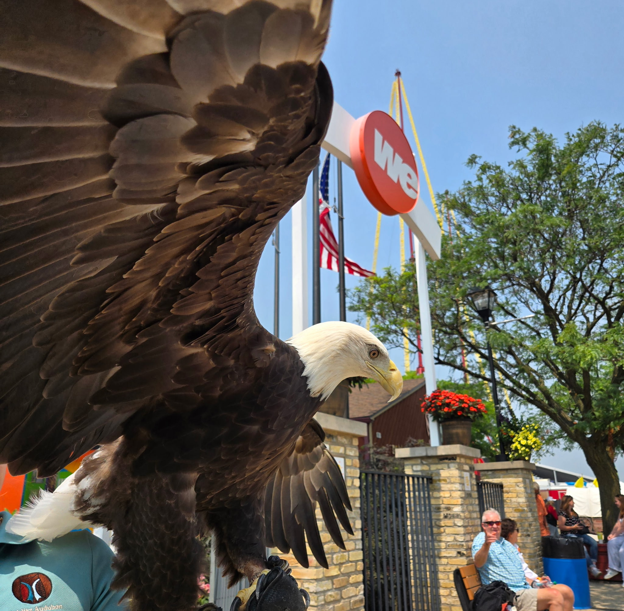 See Our Raptors & Animal Ambassadors at Wisconsin State Fair - Schlitz ...
