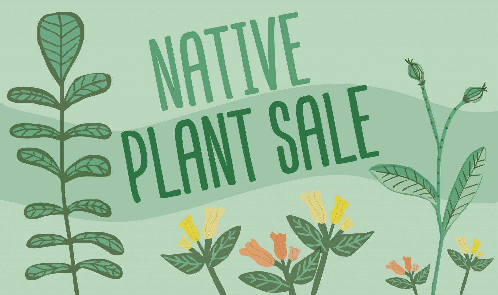 Native Plant Sale Schlitz Audubon