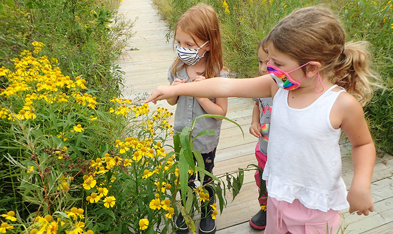 For Nature Preschool Prospective Families Schlitz Audubon