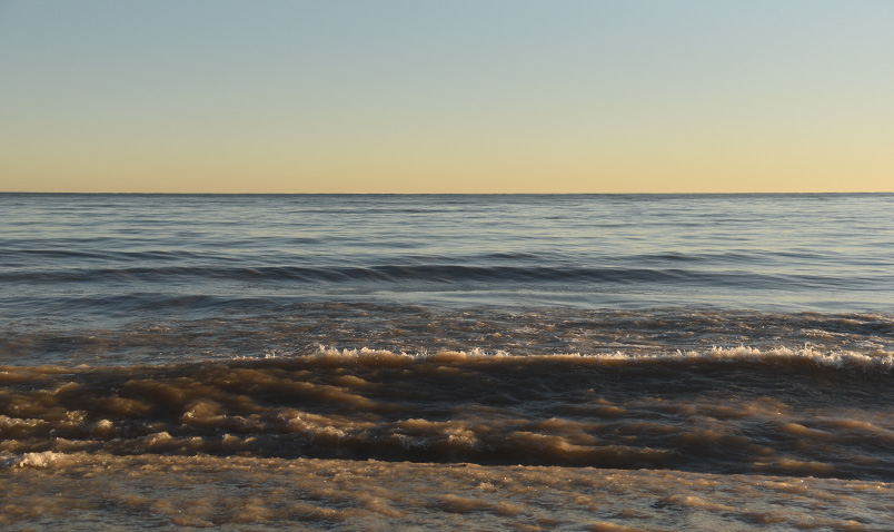 Lake Michigan with a golden hue at Schlitz Audubon