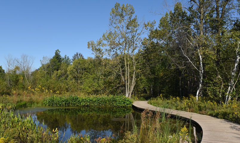 Boardwalk across Dragonfly Pond in later summer at Schlitz Audubon