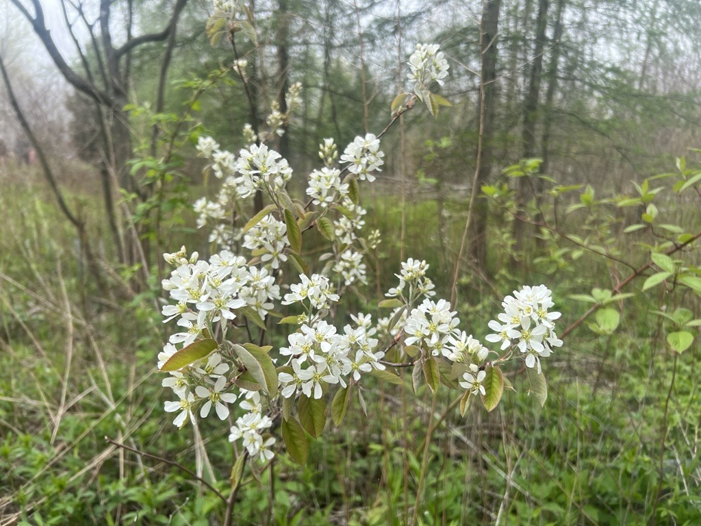 identificationとは 意味・読み方・使い方 visual data 7