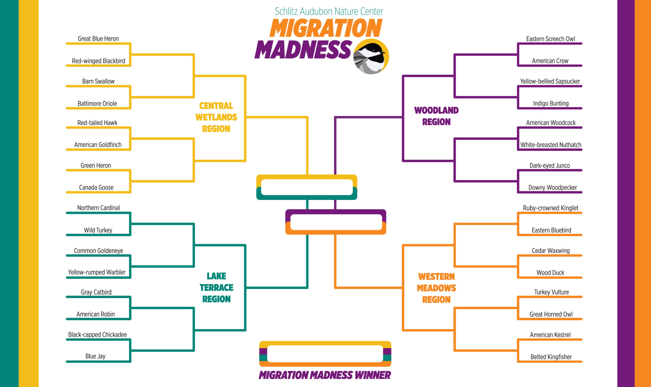 Schlitz Audubon Migration Madness 2025 bracket