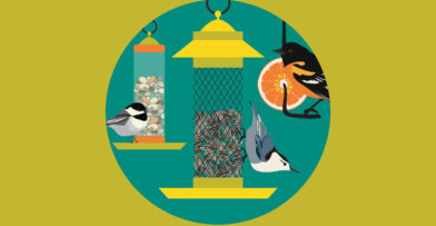 Illustration of various feeders