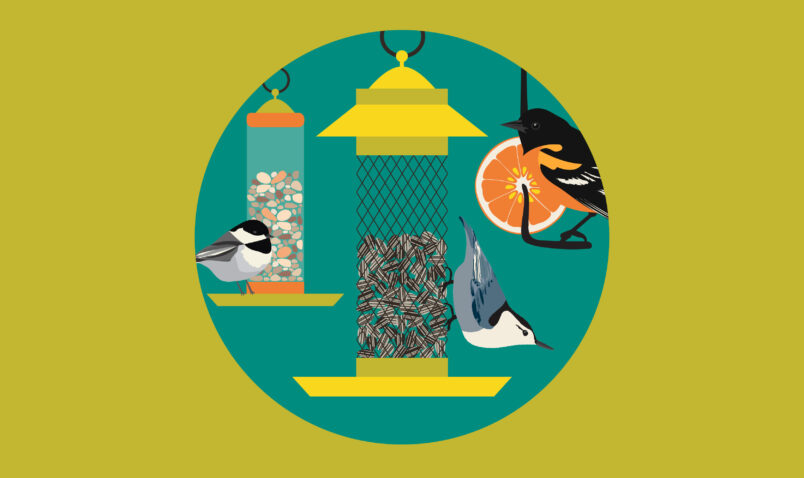 Illustration of various feeders